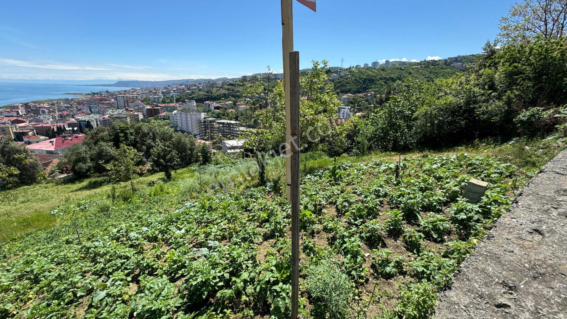 Abdi Bostan Gayrimenkul'den Trabzon Akçaabat Orta Mahalle'de Satılık Arsa - Görsel 10