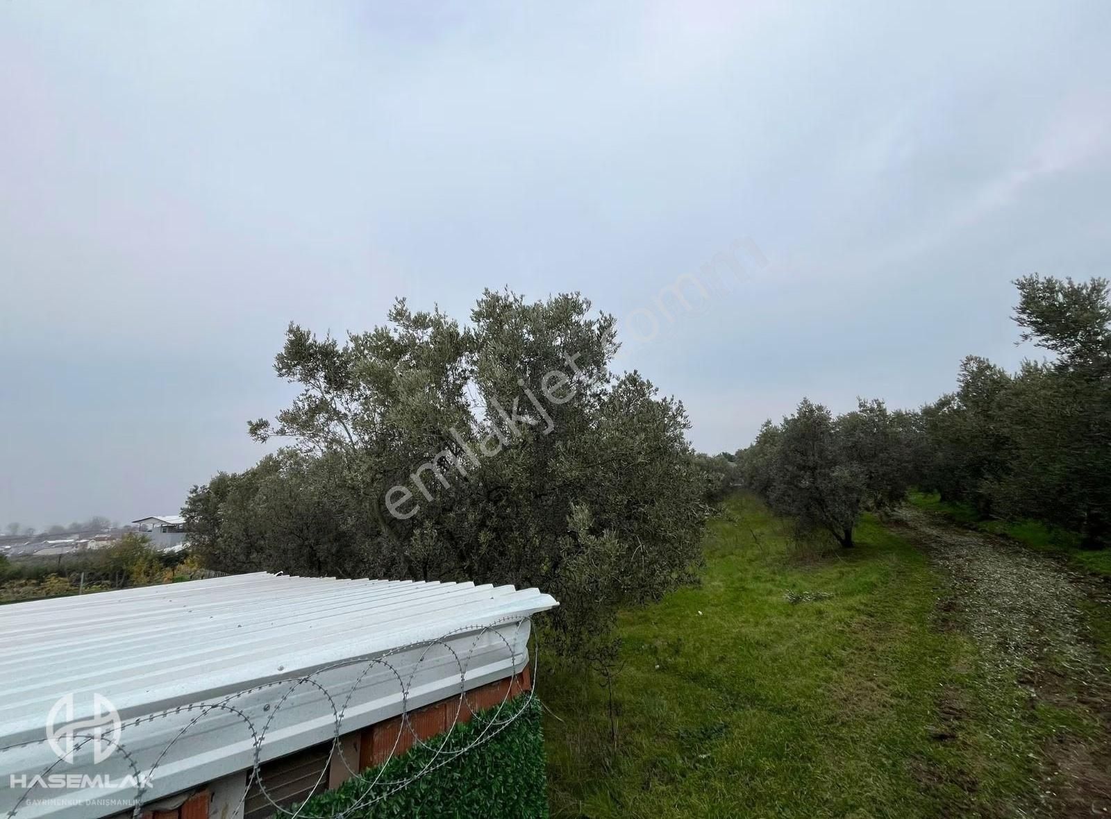 Bölge Uzmanı Has Emlak Deniz Manzaralı Fırsat Hobi Bahçesi - Görsel 3