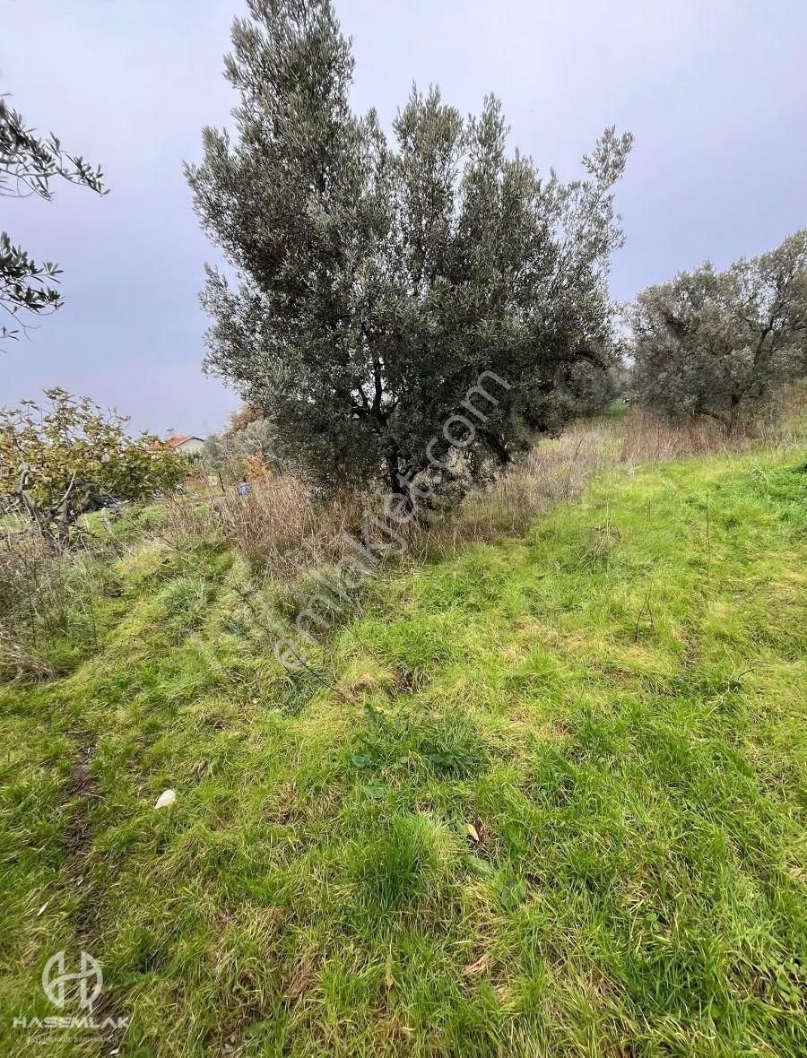 Bölge Uzmanı Has Emlak Deniz Manzaralı Fırsat Hobi Bahçesi - Görsel 16