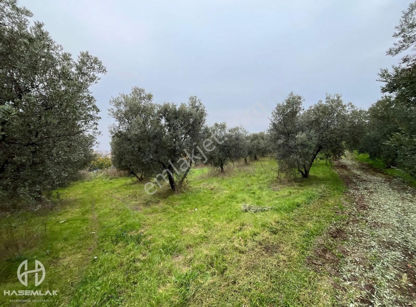 Bölge Uzmanı Has Emlak Deniz Manzaralı Fırsat Hobi Bahçesi - Görsel 11