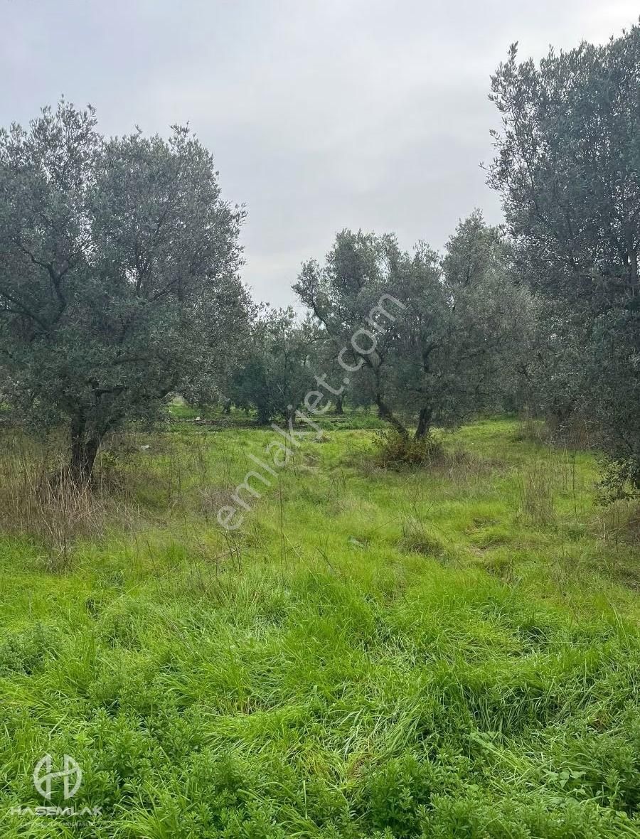 Bölge Uzmanı Has Emlak Deniz Manzaralı Fırsat Hobi Bahçesi - Görsel 13