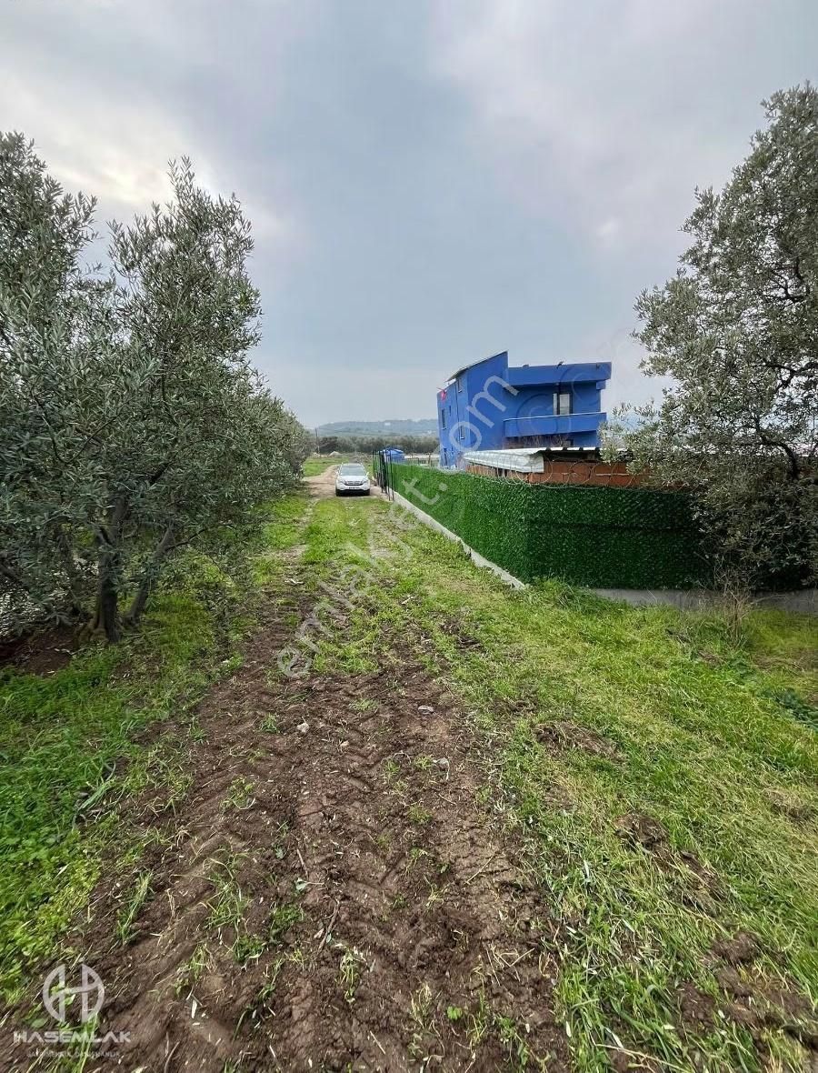 Bölge Uzmanı Has Emlak Deniz Manzaralı Fırsat Hobi Bahçesi - Görsel 17