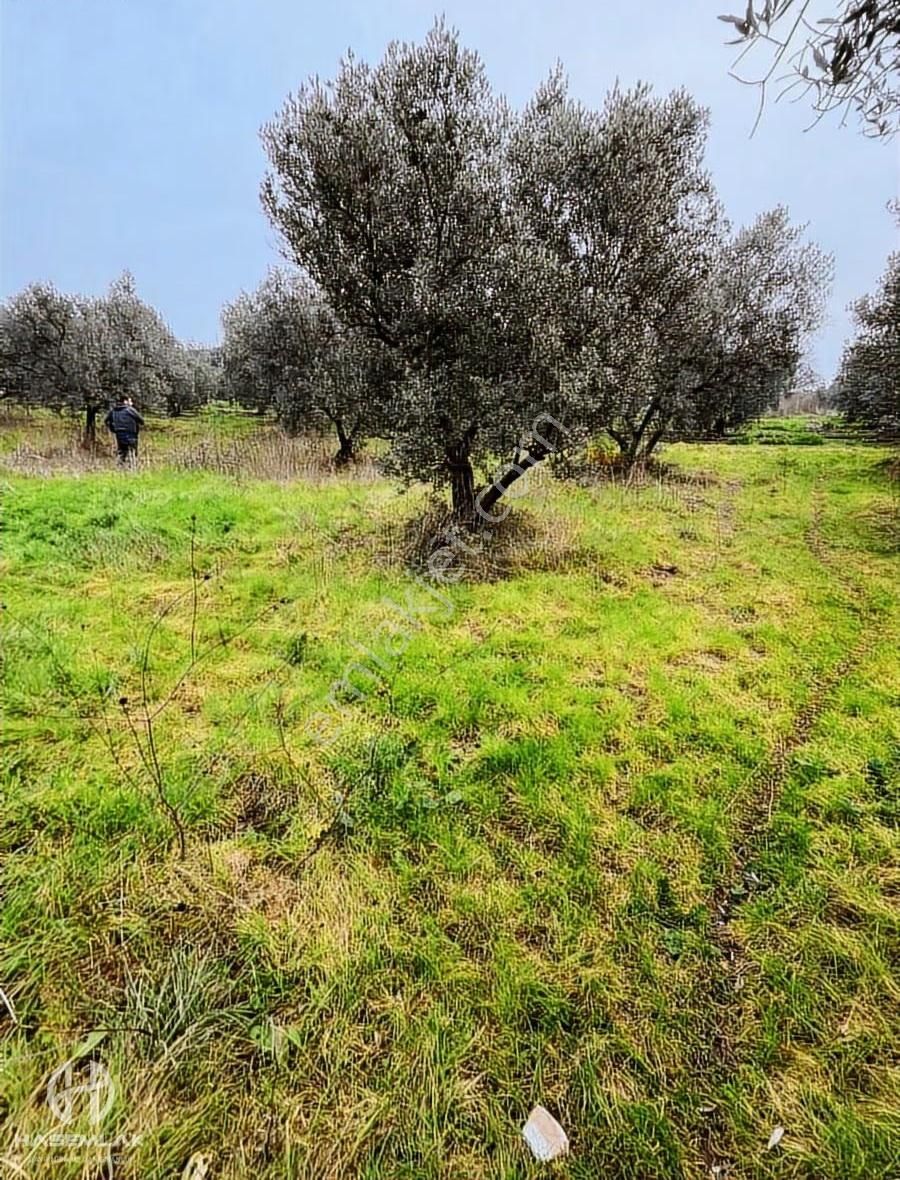 Bölge Uzmanı Has Emlak Deniz Manzaralı Fırsat Hobi Bahçesi - Görsel 14