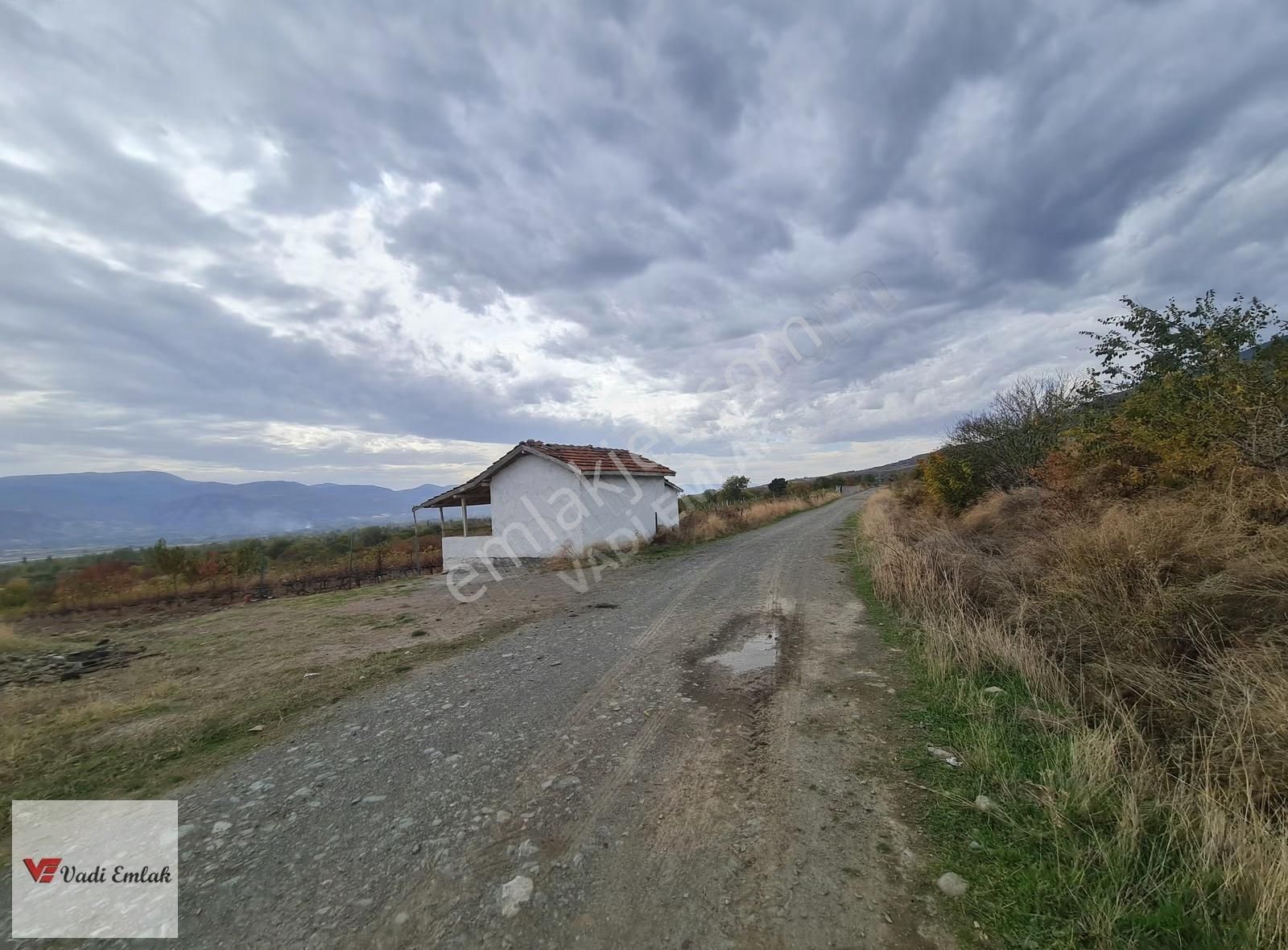 Vadi Emlak'tan Satılık Tek Tapu 3.543 M² Satılık Tarla