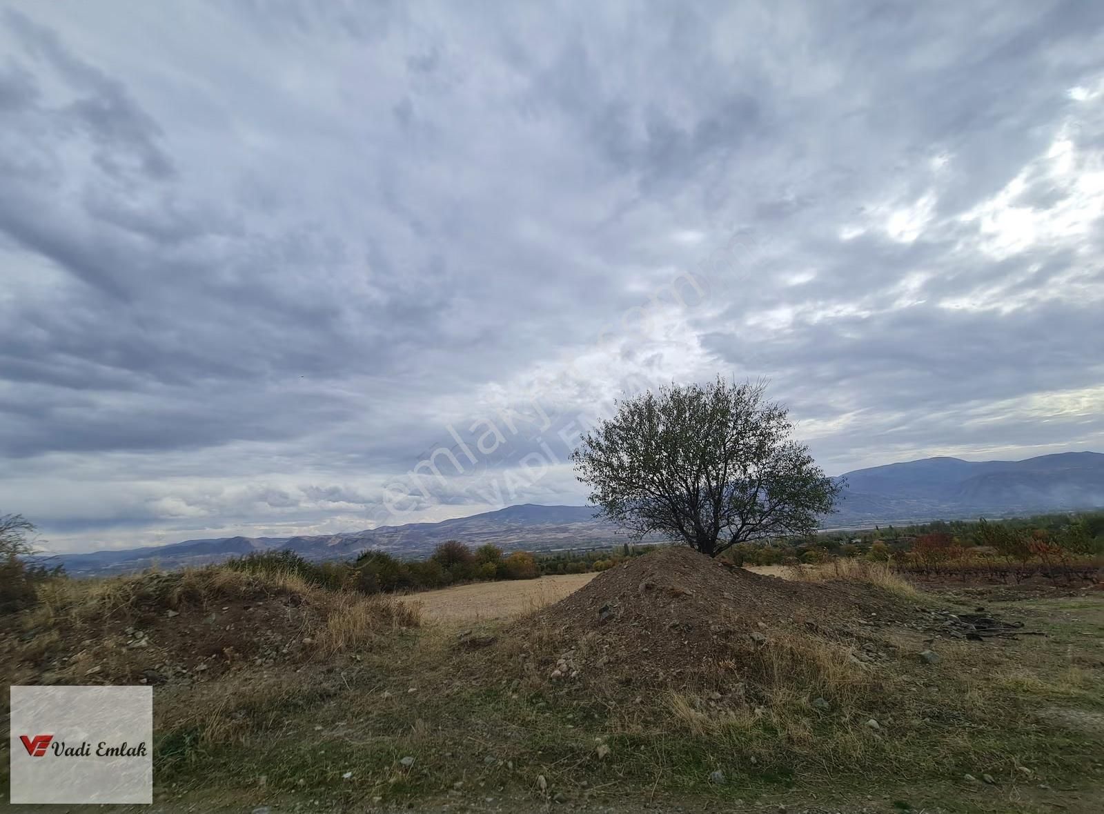 Vadi Emlak'tan Satılık Tek Tapu 3.543 M² Satılık Tarla - Görsel 4