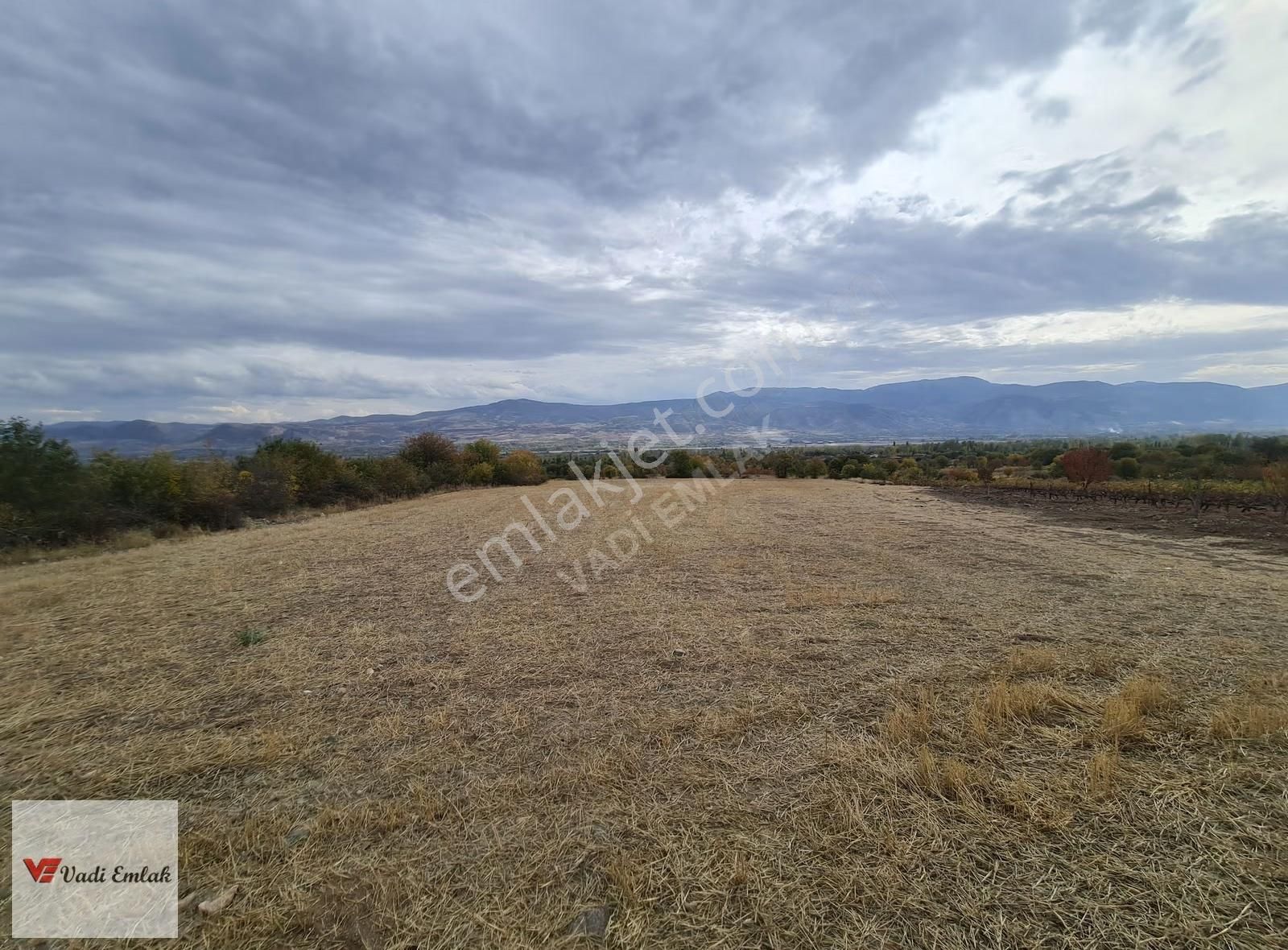 Vadi Emlak'tan Satılık Tek Tapu 3.543 M² Satılık Tarla - Görsel 10