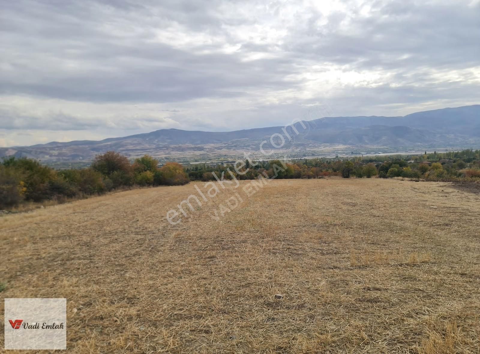 Vadi Emlak'tan Satılık Tek Tapu 3.543 M² Satılık Tarla - Görsel 8