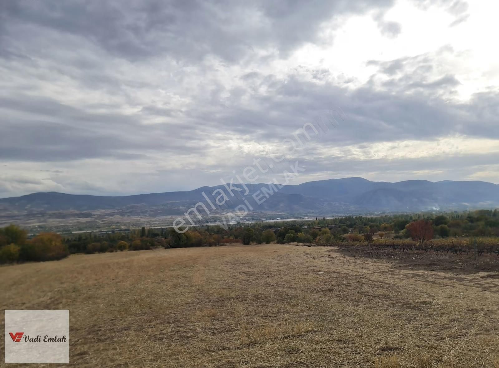 Vadi Emlak'tan Satılık Tek Tapu 3.543 M² Satılık Tarla - Görsel 6