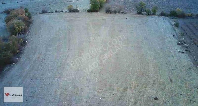 Vadi Emlak'tan Satılık Tek Tapu 3.543 M² Satılık Tarla - Görsel 2