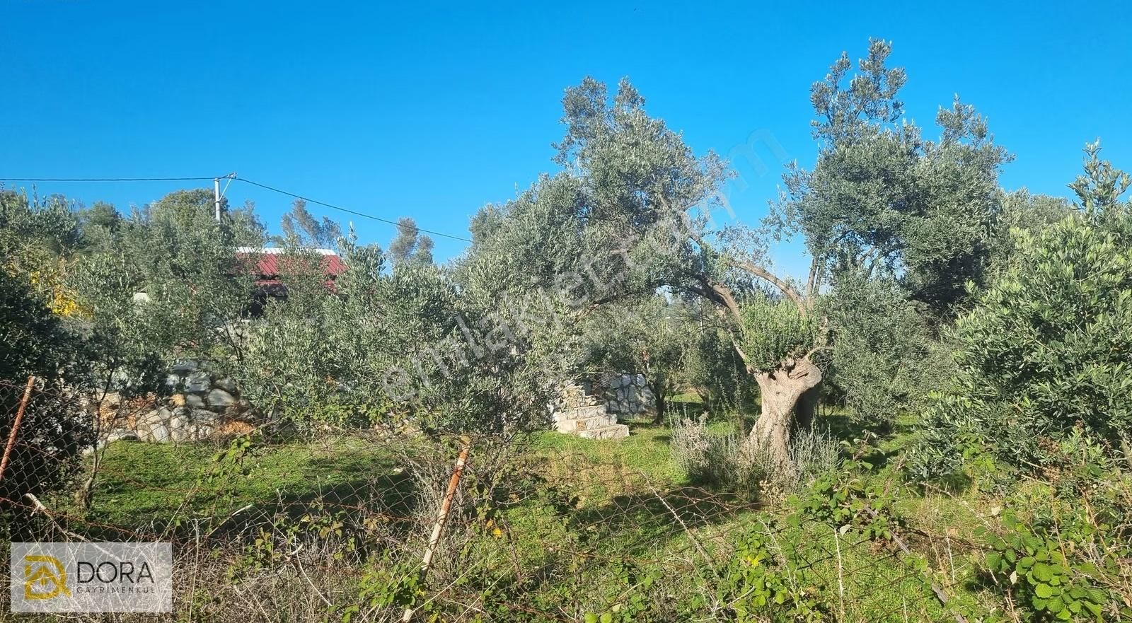 Akçaköy Satılık Tek Tapu Elektrik Su Mevcut Resmi Asfalt Yolda - Görsel 17