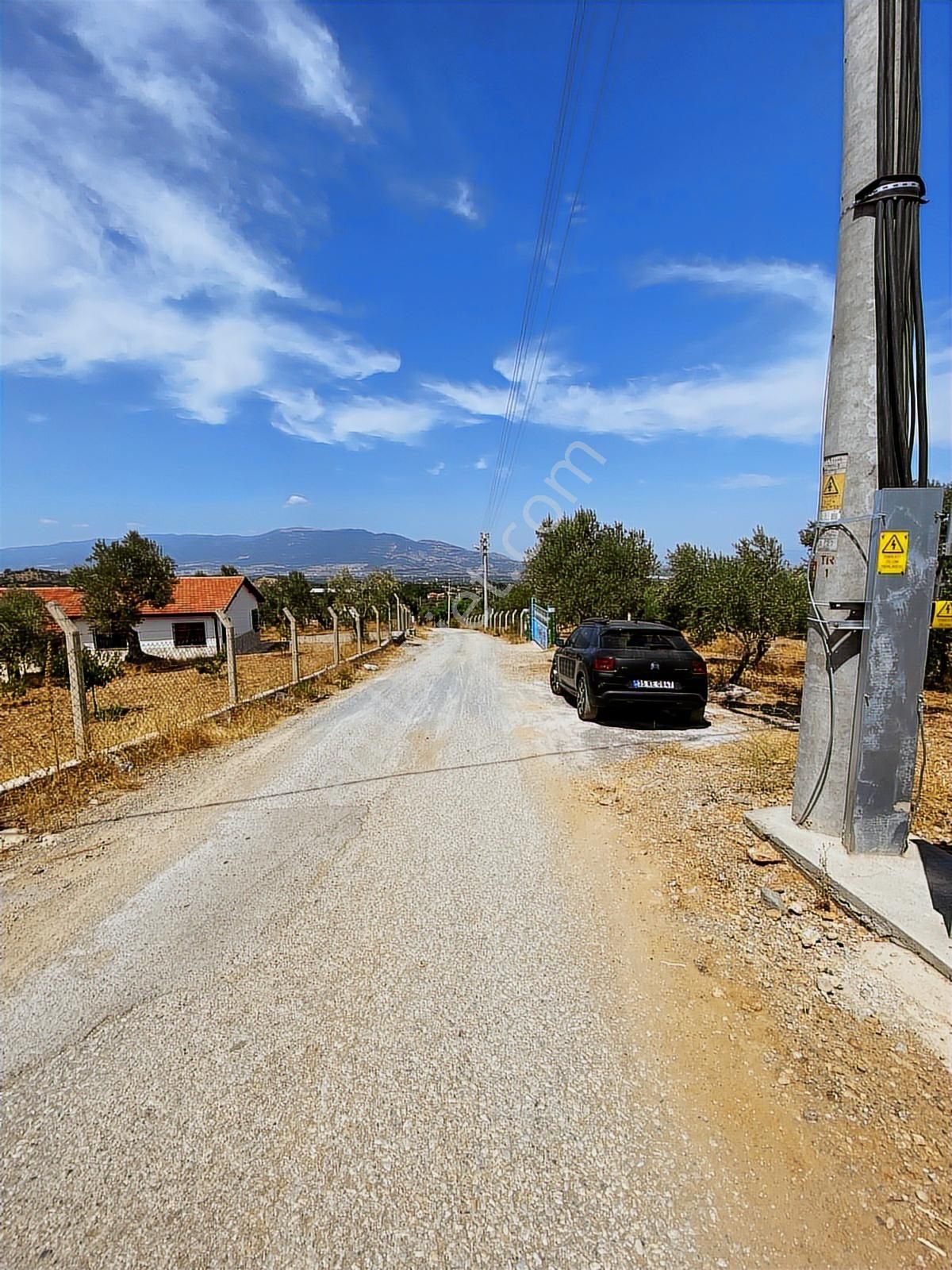 Kemalpaşa Aşağıkızılca Villalar Bölgesi 10 Dönüm Fırsat Zeytinli - Görsel 12