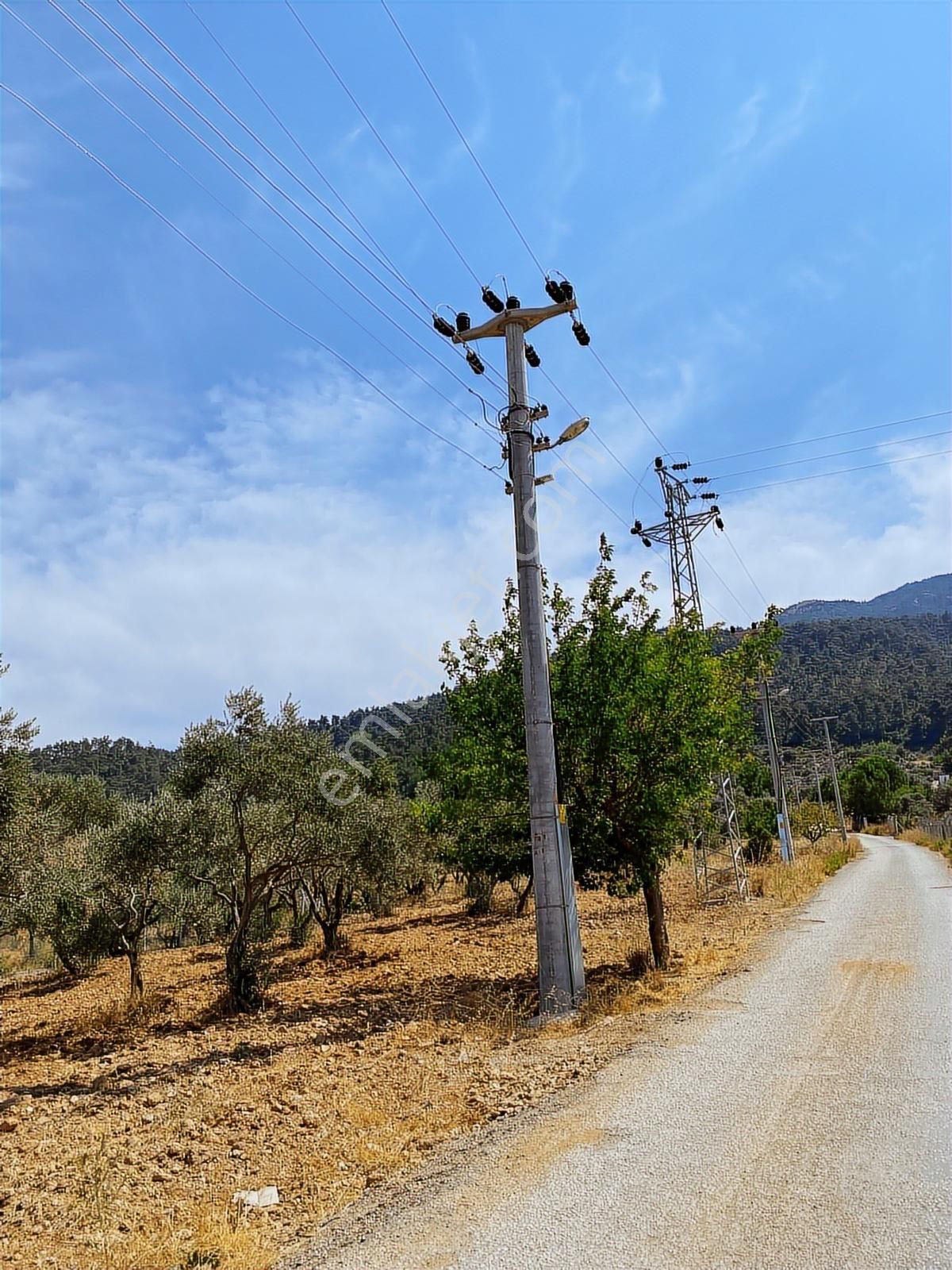 Kemalpaşa Aşağıkızılca Villalar Bölgesi 10 Dönüm Fırsat Zeytinli - Görsel 23