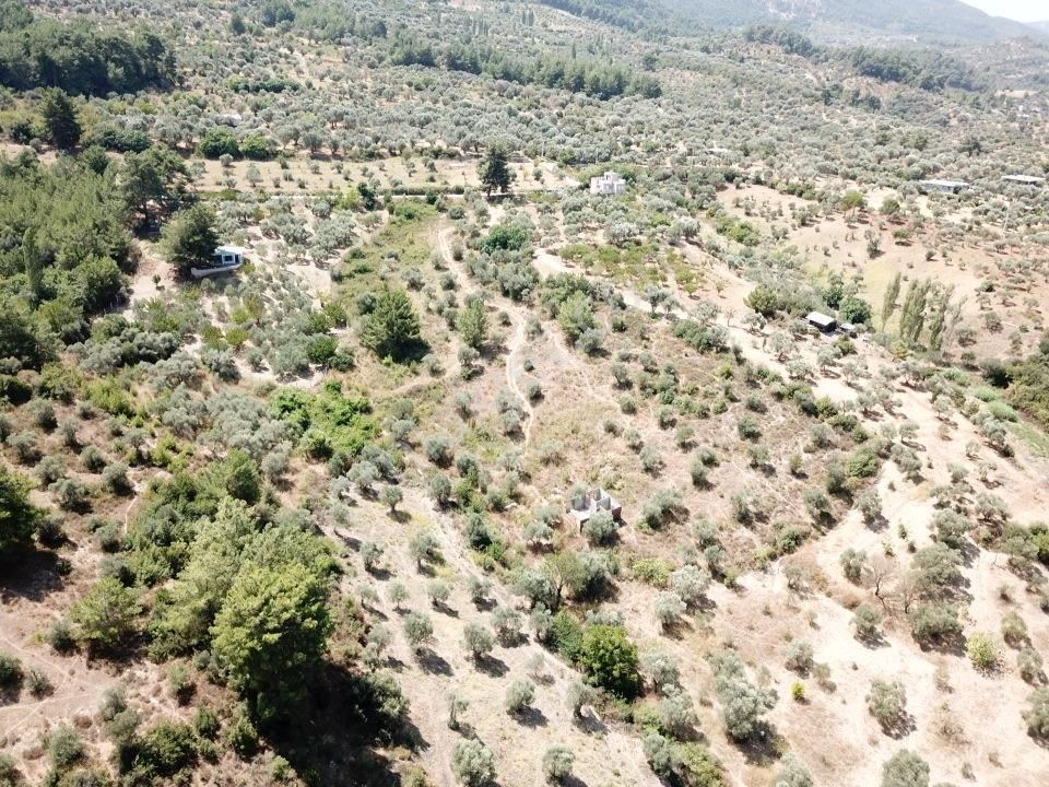 Kemalpaşa Aşağıkızılca Villalar Bölgesi 10 Dönüm Fırsat Zeytinli - Görsel 6