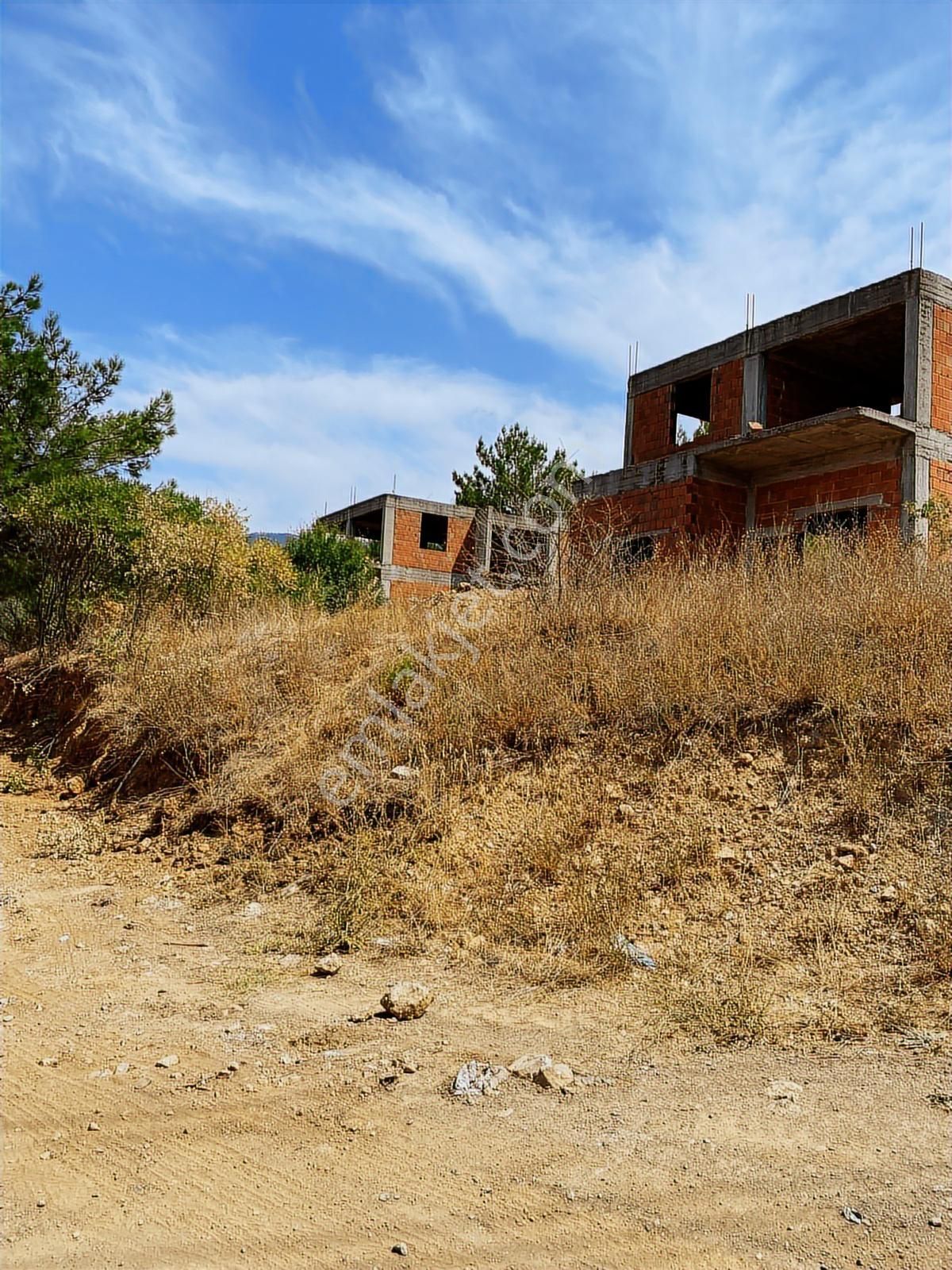 Kemalpaşa Aşağıkızılca Villalar Bölgesi 10 Dönüm Fırsat Zeytinli - Görsel 3