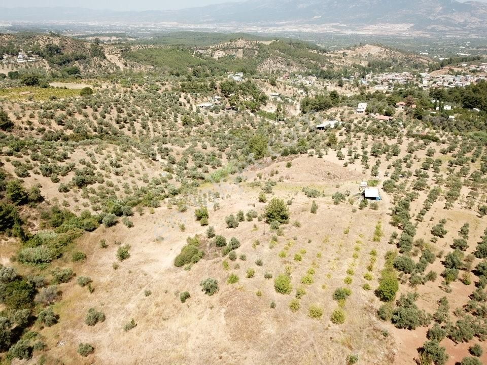 Kemalpaşa Aşağıkızılca Villalar Bölgesi 10 Dönüm Fırsat Zeytinli - Görsel 25