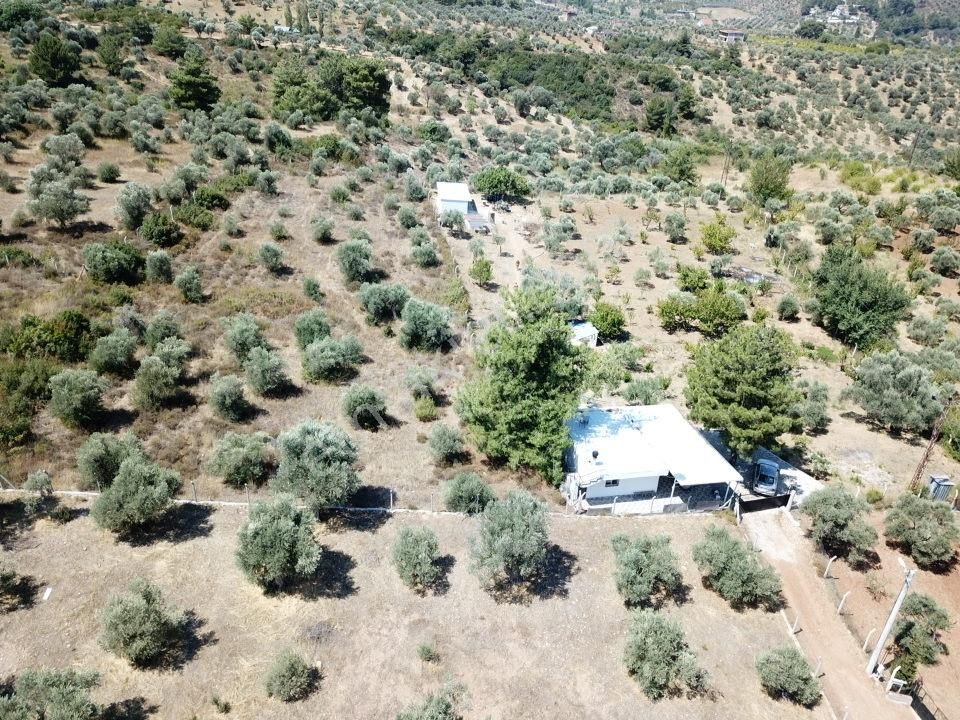 Kemalpaşa Aşağıkızılca Villalar Bölgesi 10 Dönüm Fırsat Zeytinli - Görsel 28