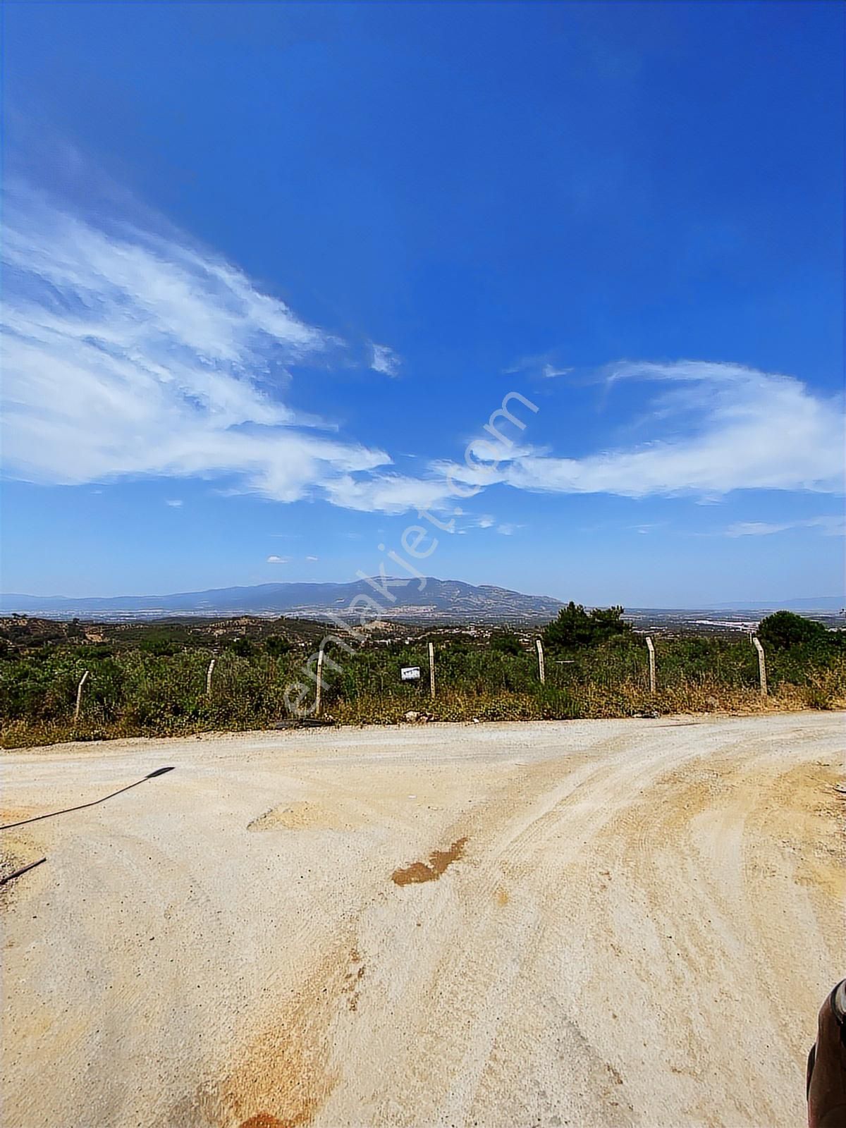 Kemalpaşa Aşağıkızılca Villalar Bölgesi 10 Dönüm Fırsat Zeytinli - Görsel 15