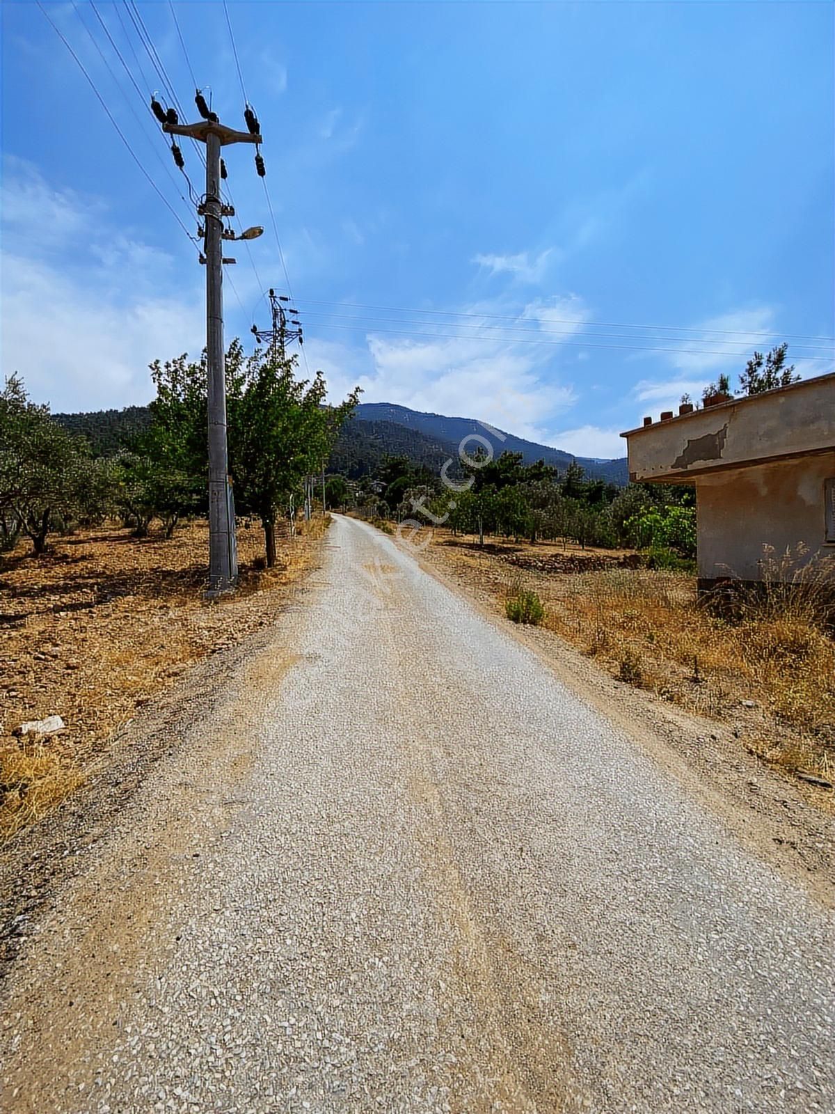 Kemalpaşa Aşağıkızılca Villalar Bölgesi 10 Dönüm Fırsat Zeytinli - Görsel 4