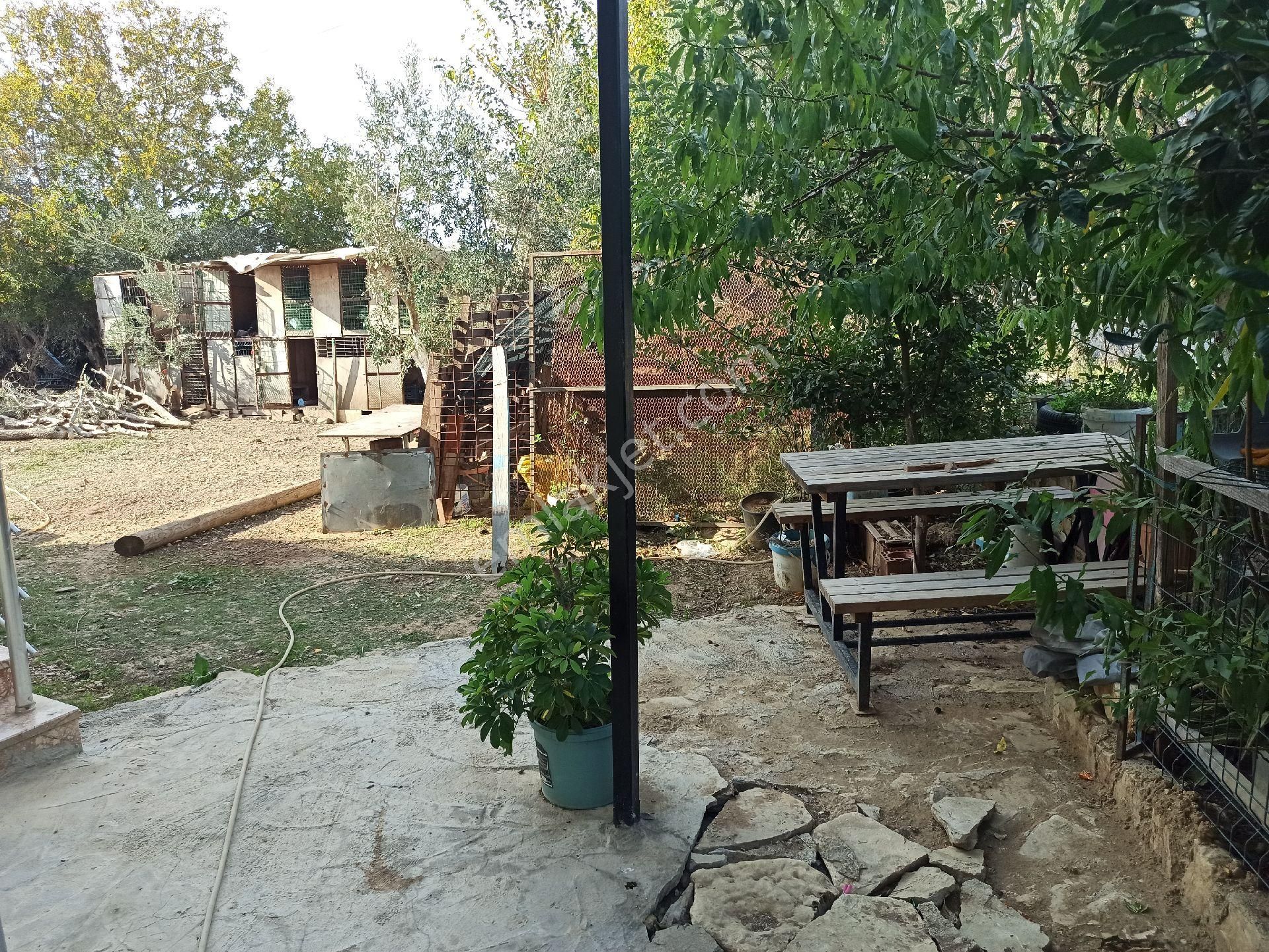 İdamax 'tan Doğa Manzaralı, Büyük Balkonlu 3+1 Ara Kat Daire - Görsel 23