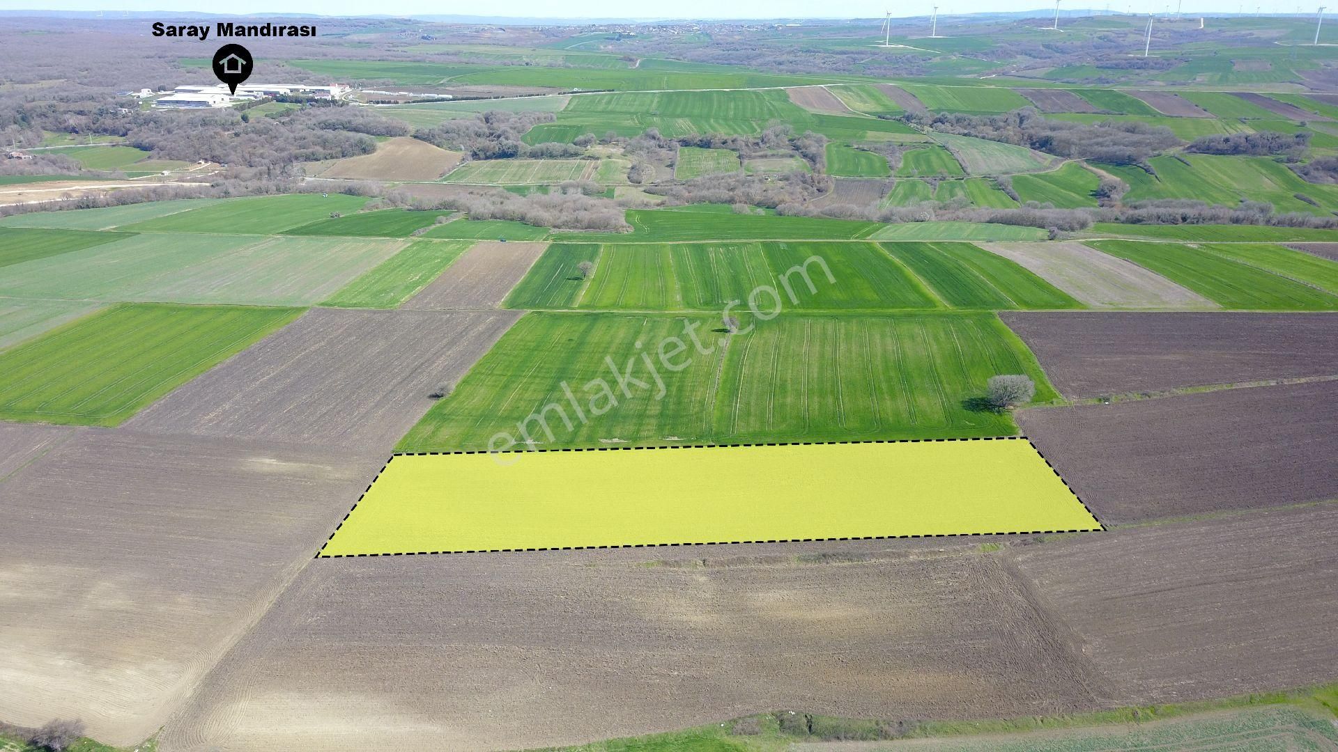 Buyuksineklide 12600 M2 Satılık Tarla - Görsel 3