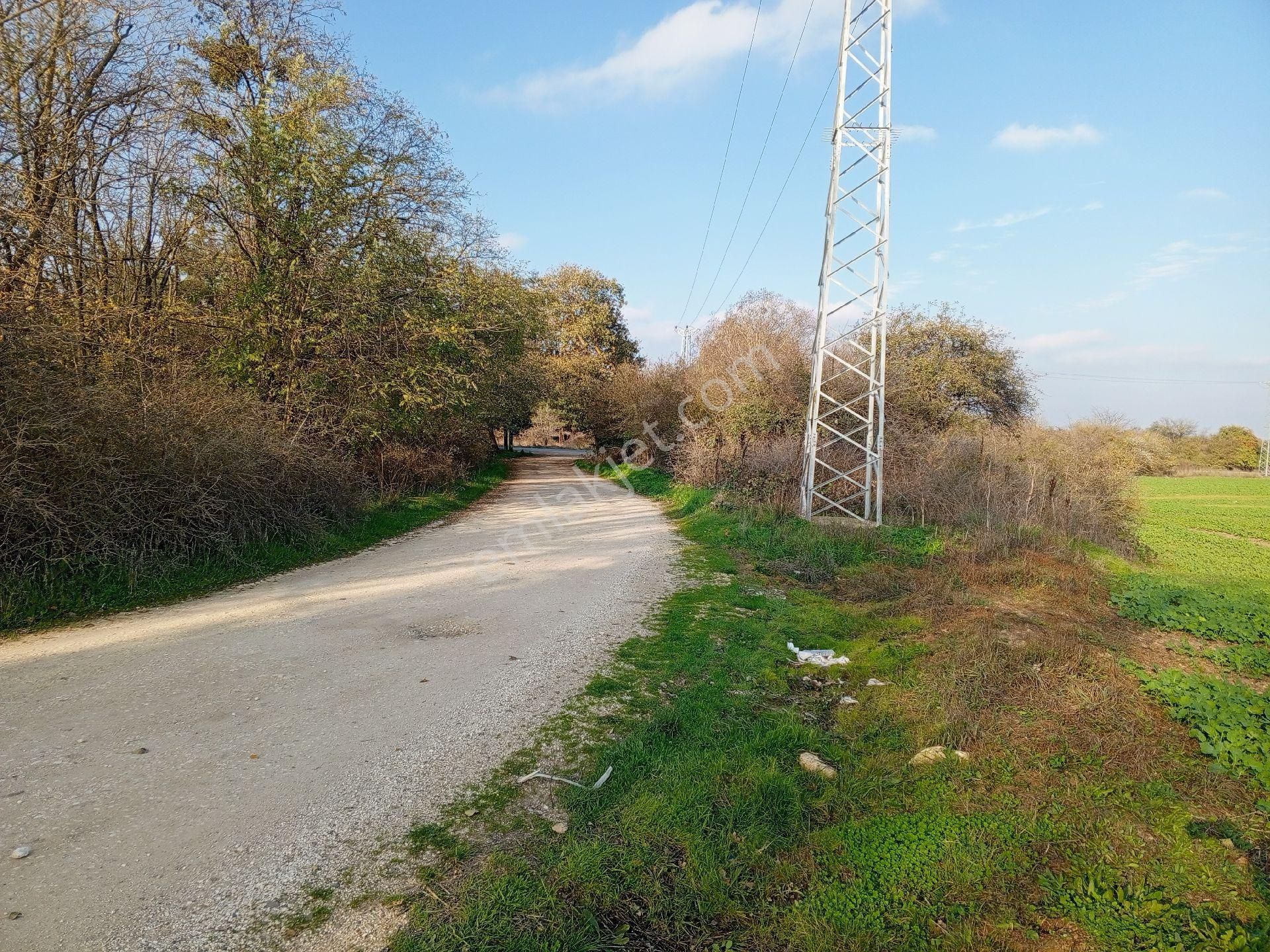 Büyükçavuşlu Da Ana Yola Cepheli Satılık Arazi - Görsel 15