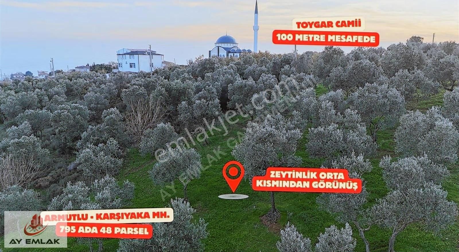 Ay Emlak'tan Konut İmar Sınırına 30 Metre Mesafede Zeytinlik - Görsel 13