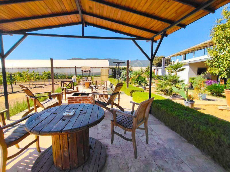 10 Dönüm Bakımlı Dolu Şahane Çiftlik - Görsel 27