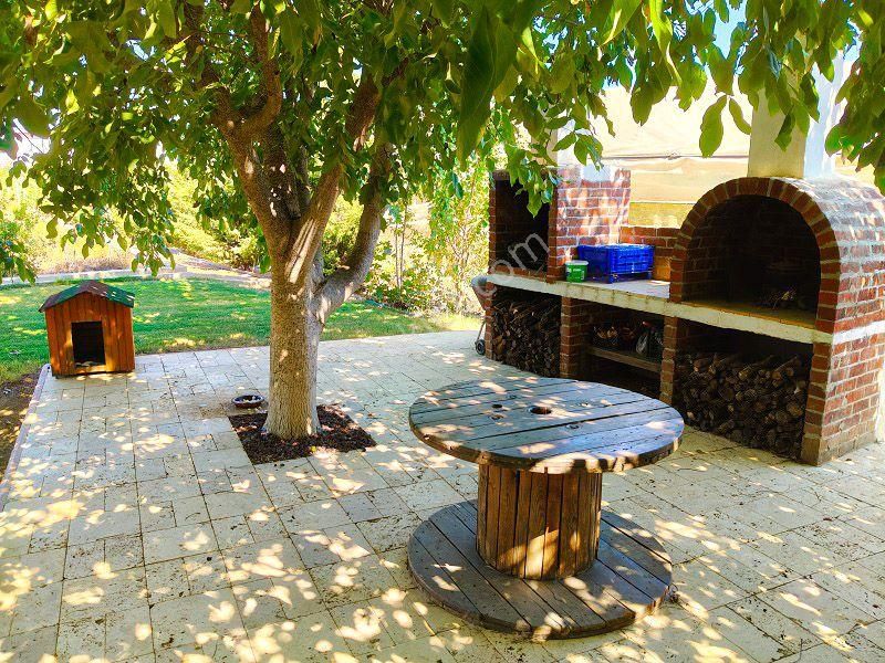 10 Dönüm Bakımlı Dolu Şahane Çiftlik - Görsel 15