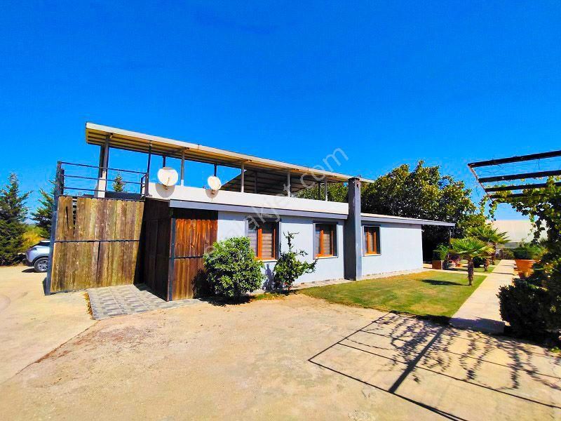 10 Dönüm Bakımlı Dolu Şahane Çiftlik - Görsel 3