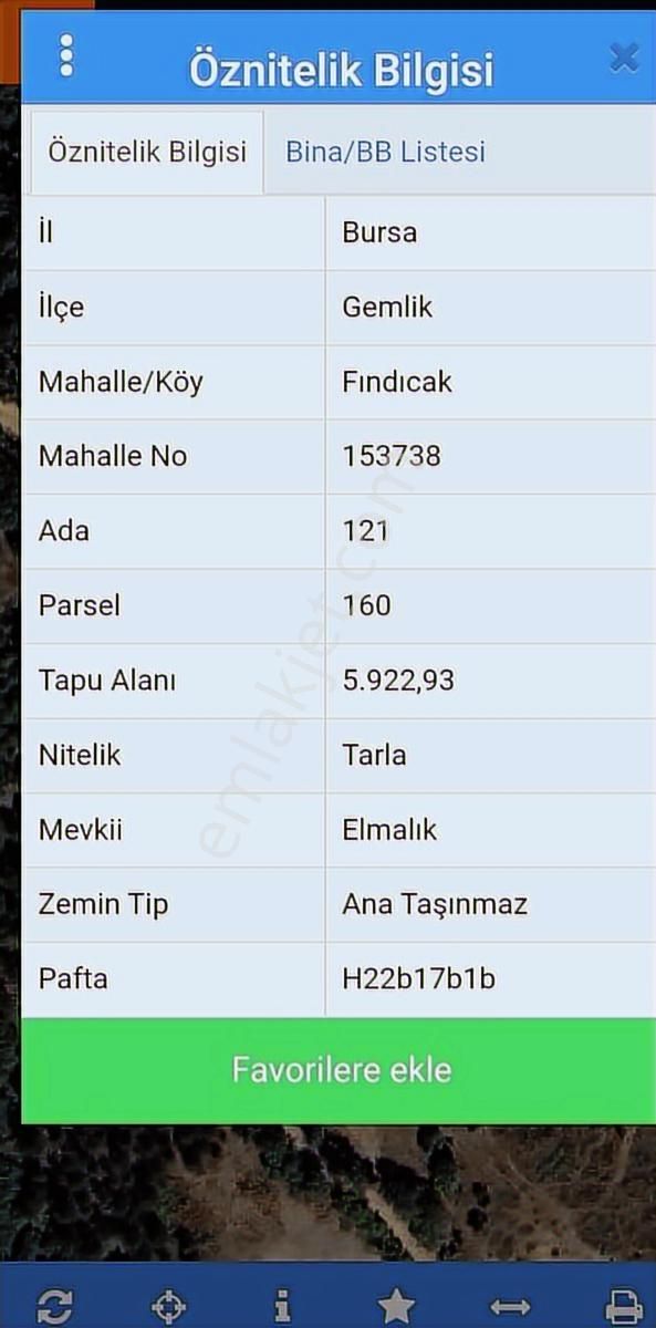 Bursa Gemlik Fındıcak Satılık 5.922 M2 Tarla - Görsel 3