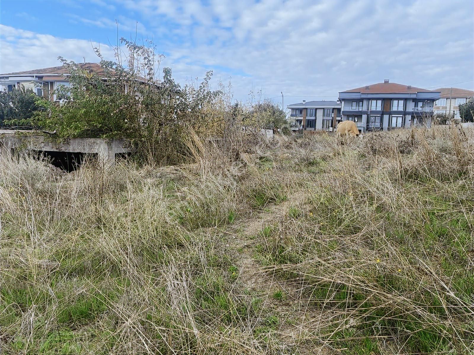 Silivri Sancaktepe Villa İmarlı Arsa Satılık - Görsel 11