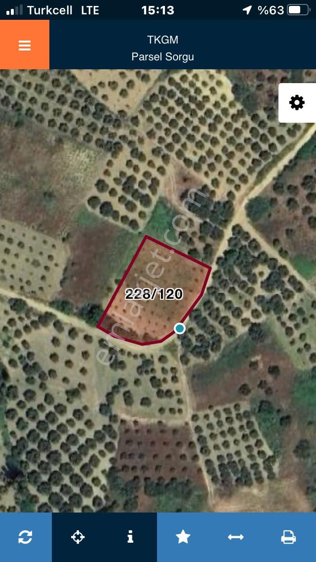 Şarköyde Işık Emlakta Güzelköy Mah De 1475 M2 Zeytinlik - Görsel 19