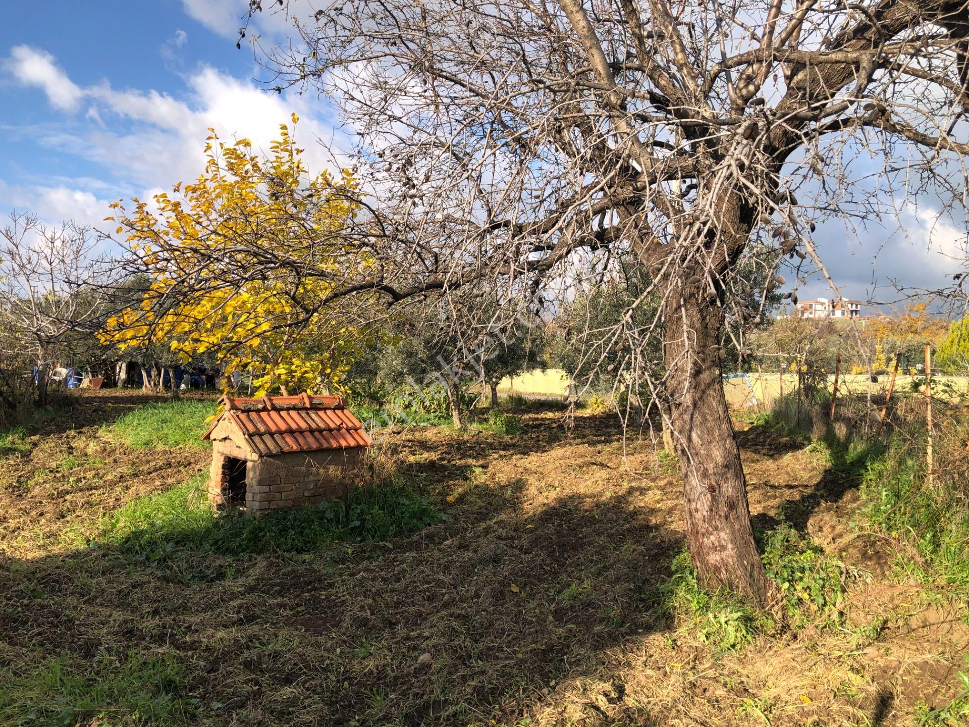 Şarköy De Işık Emlaktan İstiklal Mah De 1051 M2 0/10 İmarlı Arsa - Görsel 8