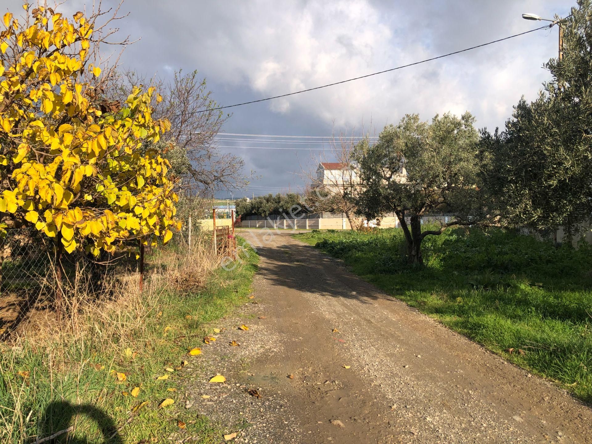 Şarköy De Işık Emlaktan İstiklal Mah De 1051 M2 0/10 İmarlı Arsa - Görsel 13