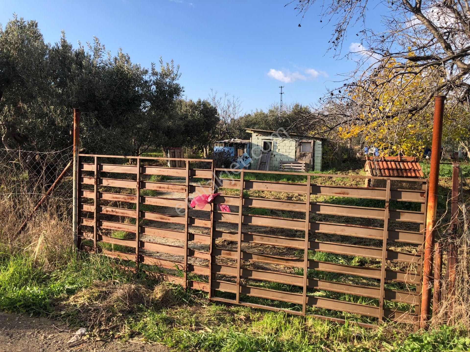 Şarköy De Işık Emlaktan İstiklal Mah De 1051 M2 0/10 İmarlı Arsa - Görsel 12