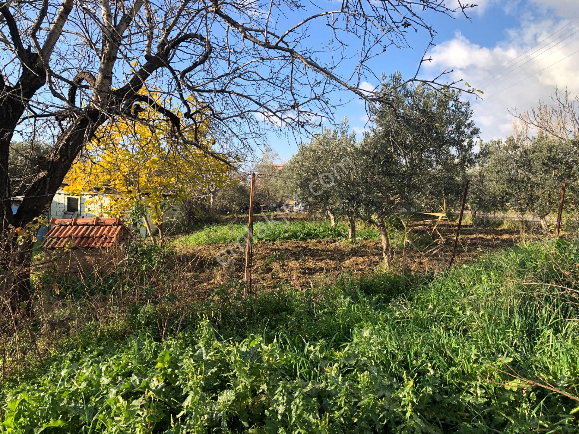 Şarköy De Işık Emlaktan İstiklal Mah De 1051 M2 0/10 İmarlı Arsa - Görsel 6