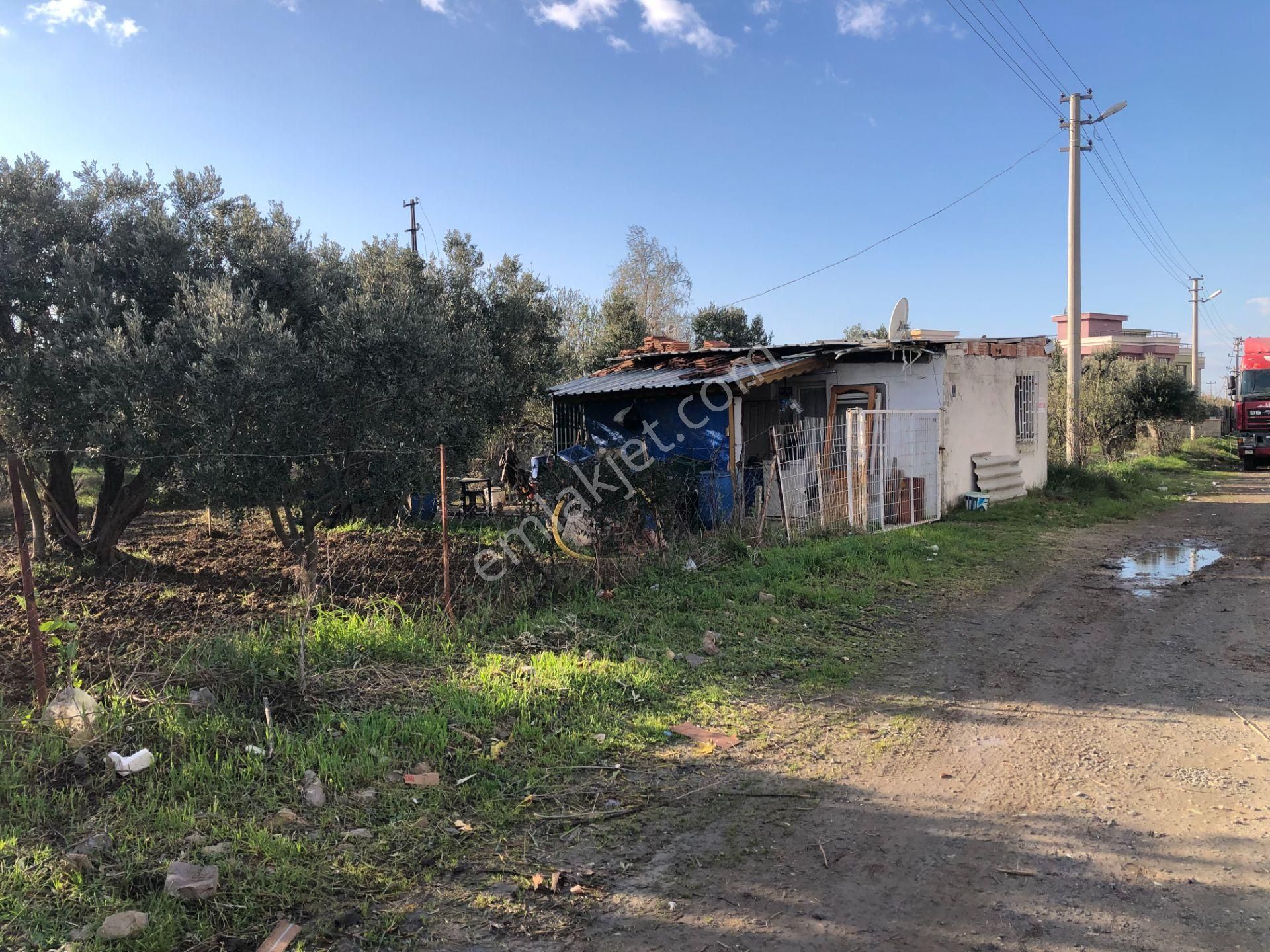 Şarköy De Işık Emlaktan İstiklal Mah De 1051 M2 0/10 İmarlı Arsa - Görsel 2