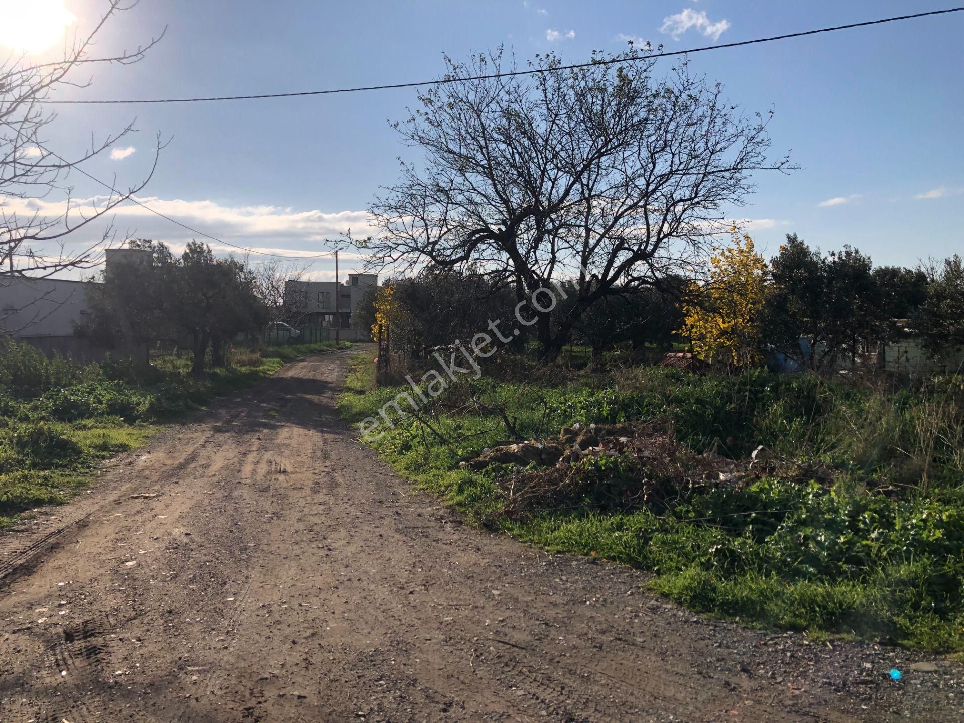 Şarköy De Işık Emlaktan İstiklal Mah De 1051 M2 0/10 İmarlı Arsa - Görsel 16