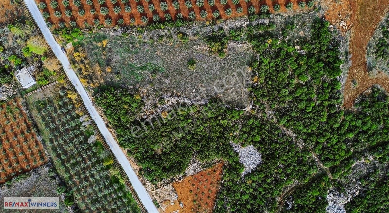 Kirişçilerde Kuzey Çevre Yolu Ve Osbye Yakın Kiralık Boş Arsa - Görsel 17