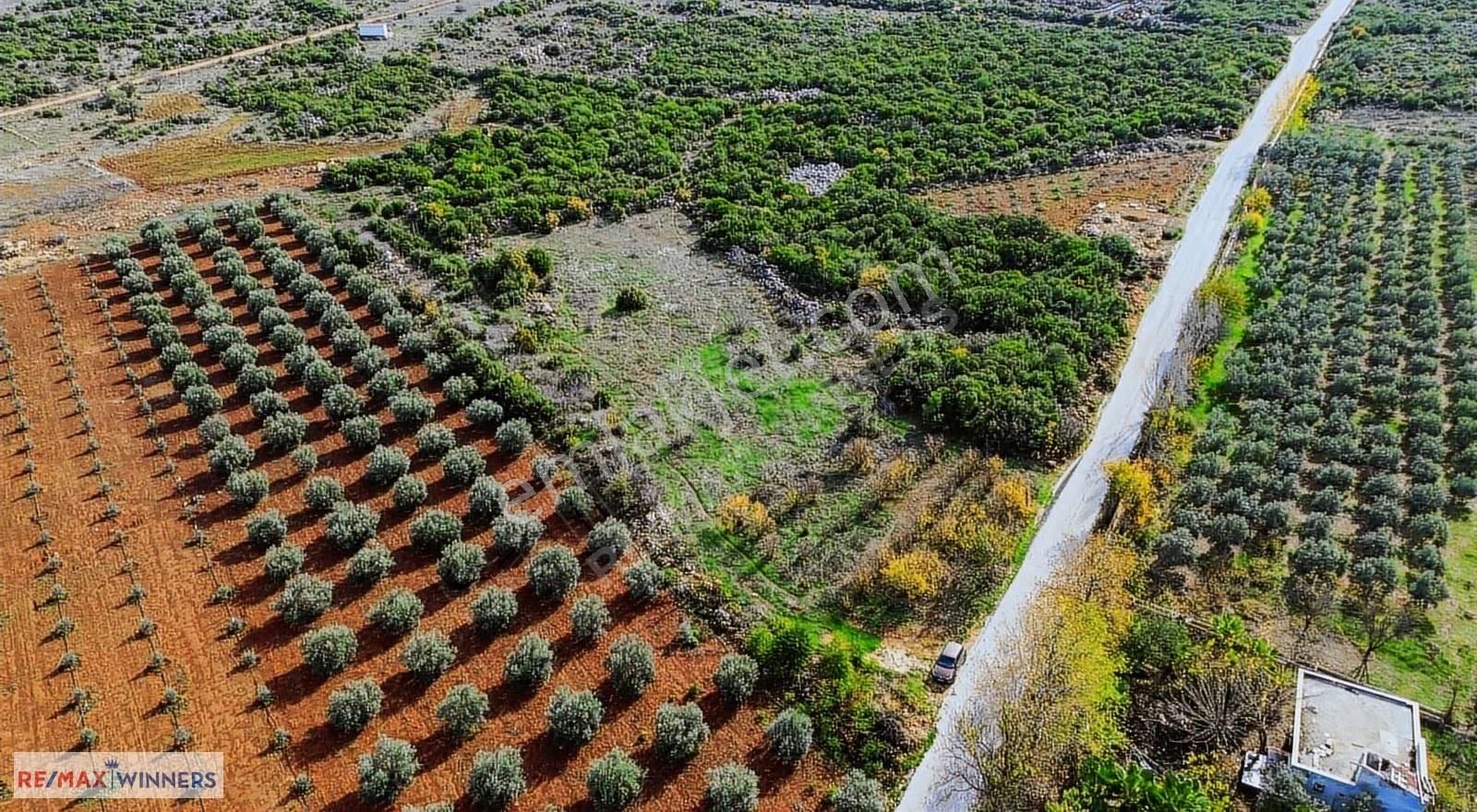 Kirişçilerde Kuzey Çevre Yolu Ve Osbye Yakın Kiralık Boş Arsa - Görsel 14