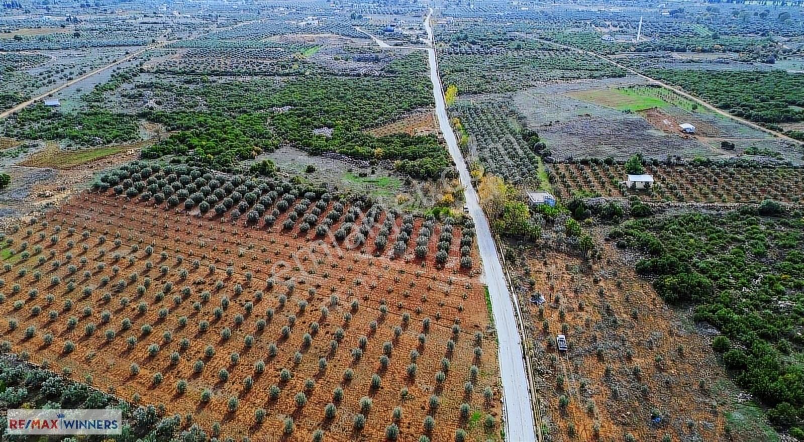 Kirişçilerde Kuzey Çevre Yolu Ve Osbye Yakın Kiralık Boş Arsa - Görsel 11