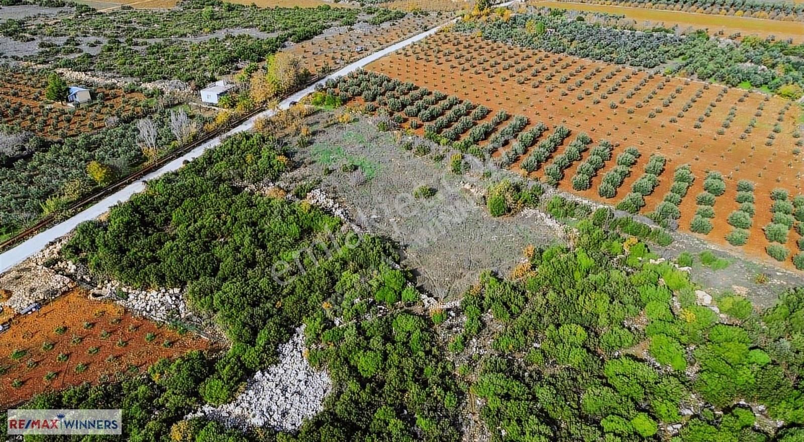 Kirişçilerde Kuzey Çevre Yolu Ve Osbye Yakın Kiralık Boş Arsa - Görsel 12