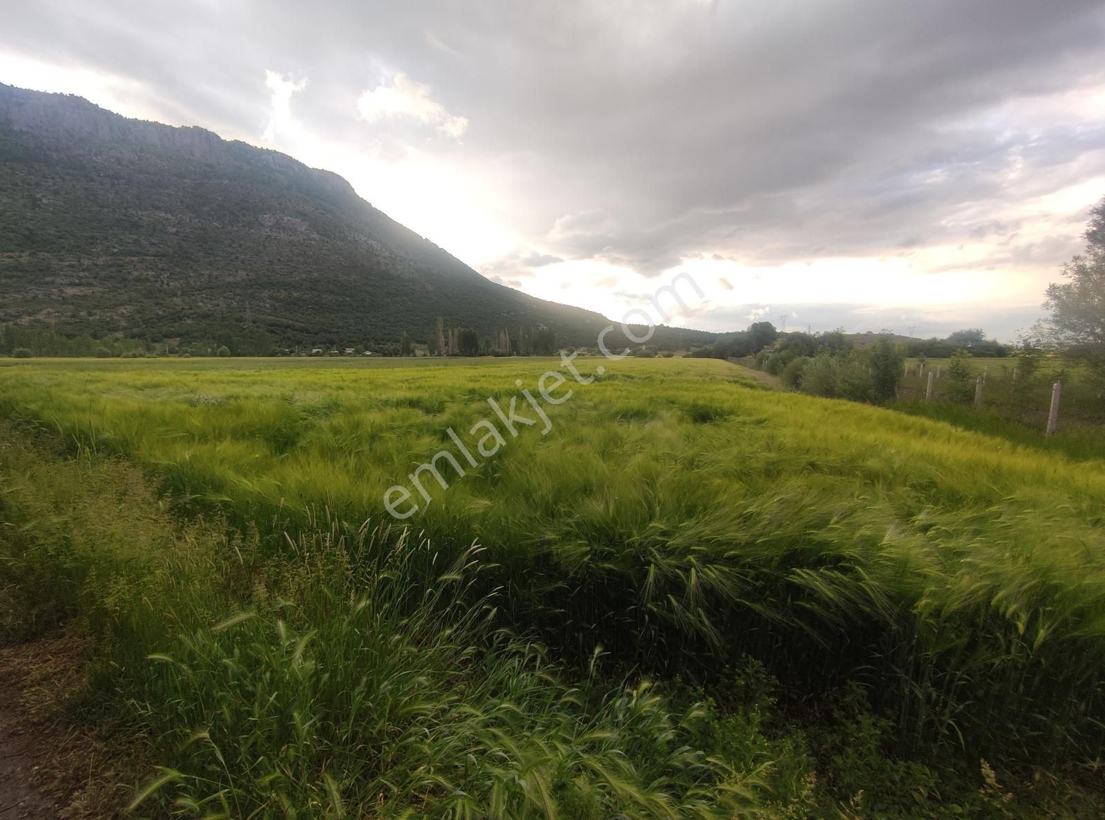 Özpınar ,dan Taşağıl Mah. Satılık Tarla 1657 M2 Yolu ,suyu Var. - Görsel 7