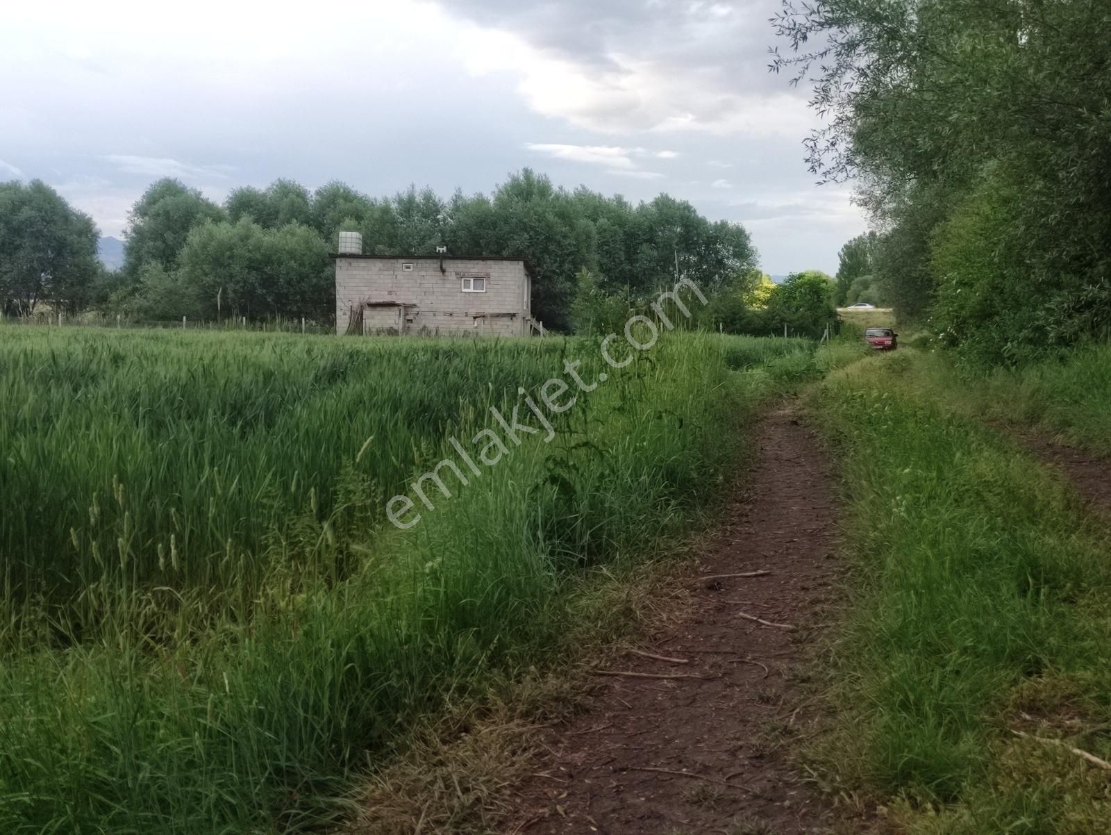 Özpınar ,dan Taşağıl Mah. Satılık Tarla 1657 M2 Yolu ,suyu Var. - Görsel 6