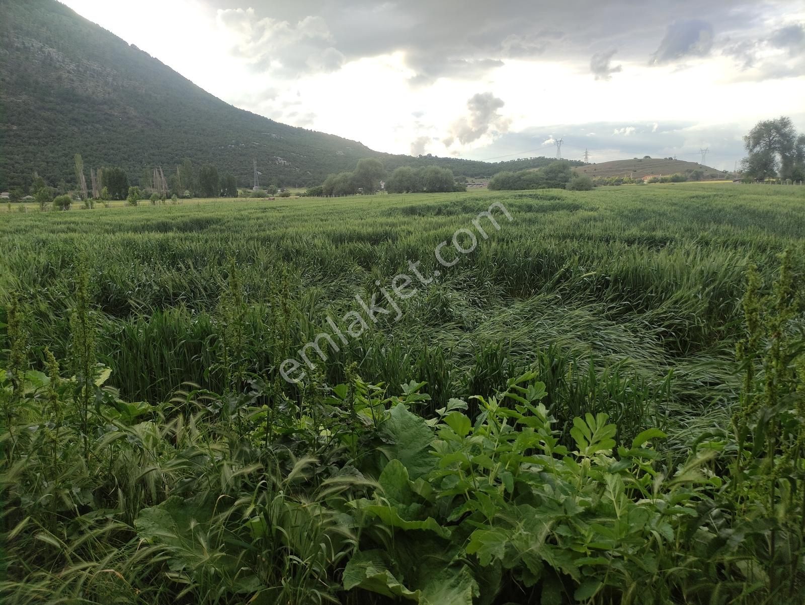 Özpınar ,dan Taşağıl Mah. Satılık Tarla 1657 M2 Yolu ,suyu Var. - Görsel 18