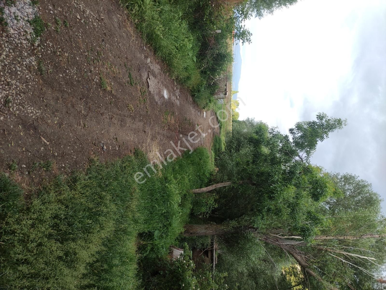 Özpınar ,dan Taşağıl Mah. Satılık Tarla 1657 M2 Yolu ,suyu Var. - Görsel 4