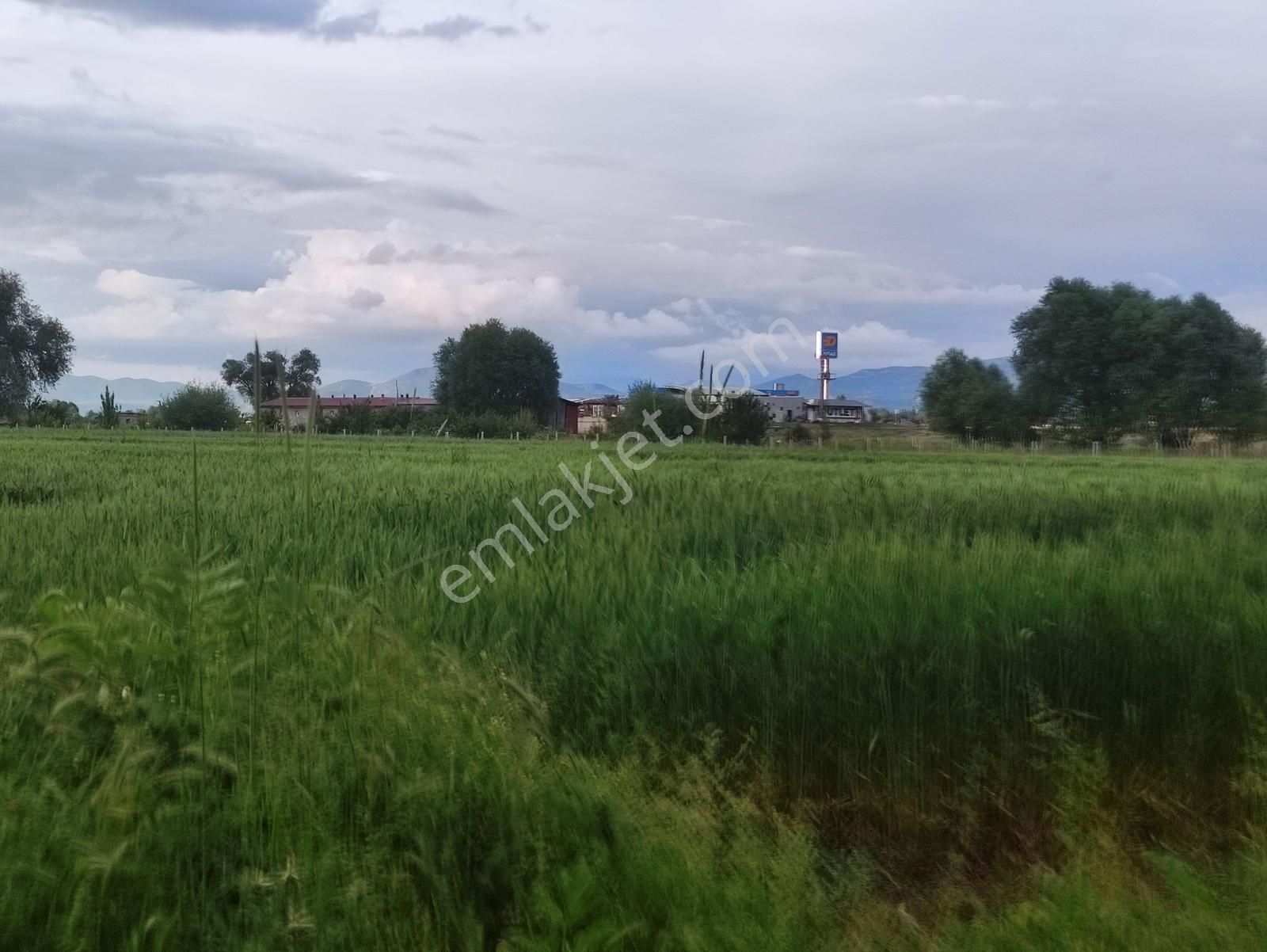 Özpınar ,dan Taşağıl Mah. Satılık Tarla 1657 M2 Yolu ,suyu Var. - Görsel 5