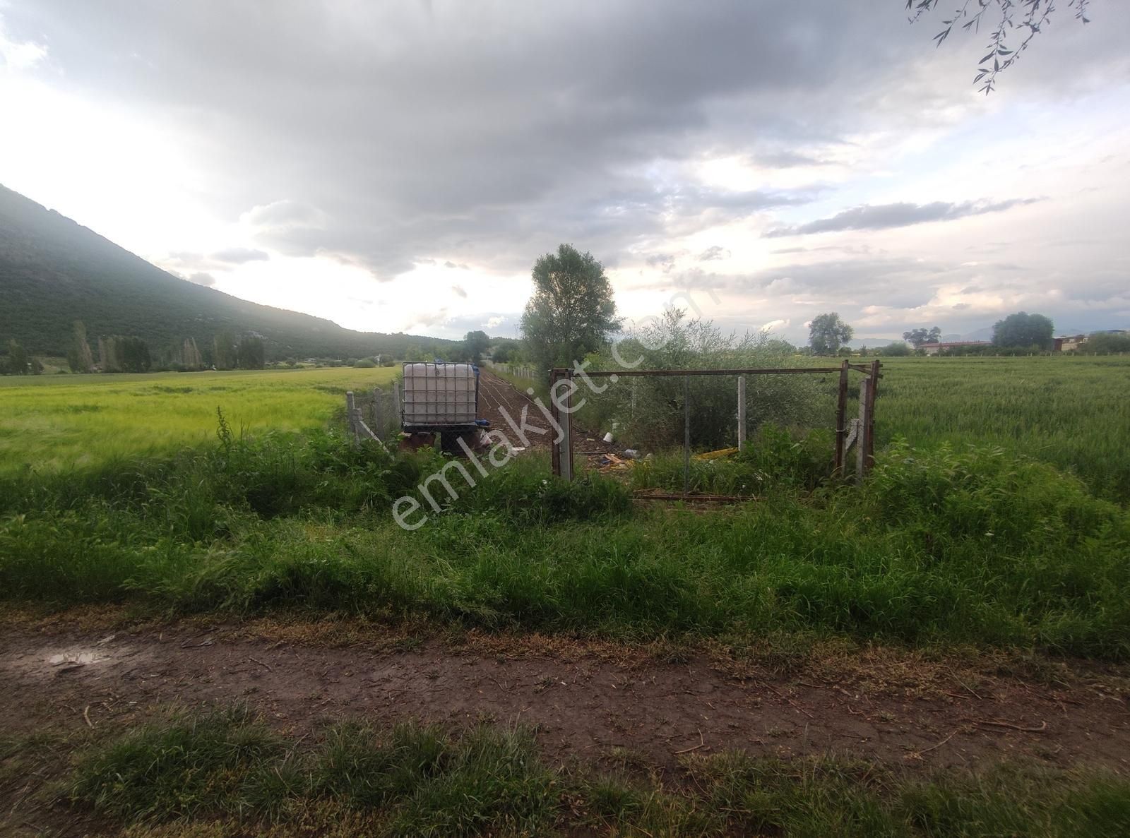 Özpınar ,dan Taşağıl Mah. Satılık Tarla 1657 M2 Yolu ,suyu Var. - Görsel 13