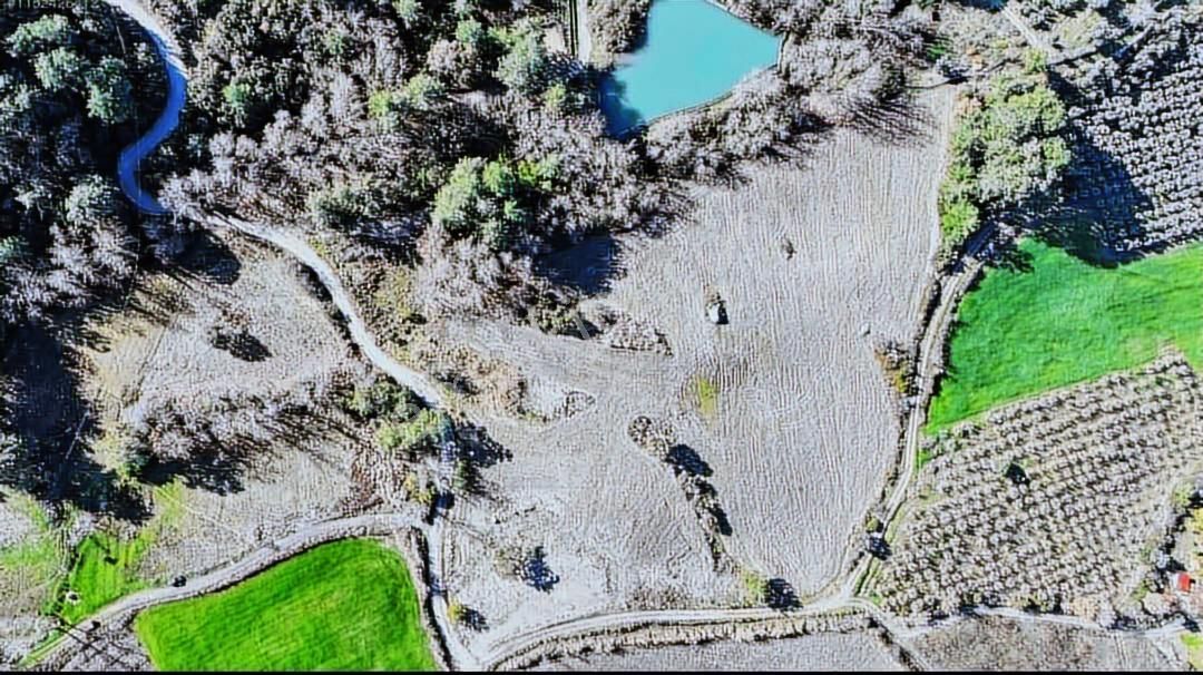 Fırsat 11.400 Mt2 Yaka Tlos Da Satılık Tarla - Görsel 6