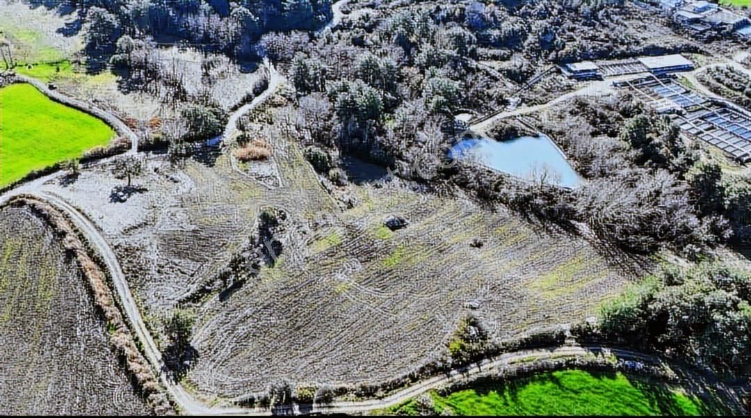 Fırsat 11.400 Mt2 Yaka Tlos Da Satılık Tarla - Görsel 5
